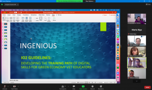 Read more about the article INGENIOUS Web Meeting on Project Progress and IO2