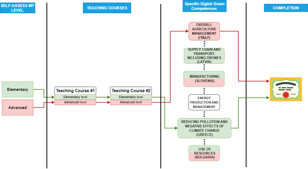 Training Path in English